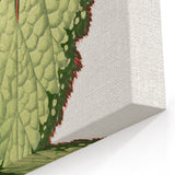 Famous Romantic Era Art: Green Begonia Rex Canvas Print