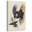 Historical Romanticism Canvas: Ring-necked Pheasant Artwork