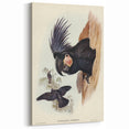 Historical Romanticism Canvas: Ring-necked Pheasant Artwork