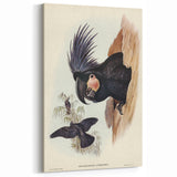 Historical Romanticism Canvas: Ring-necked Pheasant Artwork