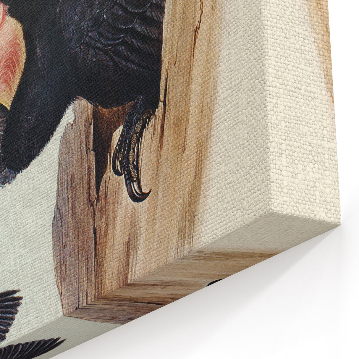 Historical Romanticism Canvas: Ring-necked Pheasant Artwork