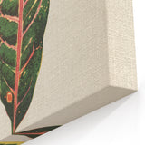 Romanticism Art: Croton Botanical Illustration for Classic Decor