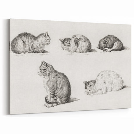 Romanticism Art: Five Studies of Cats by Jean Bernard