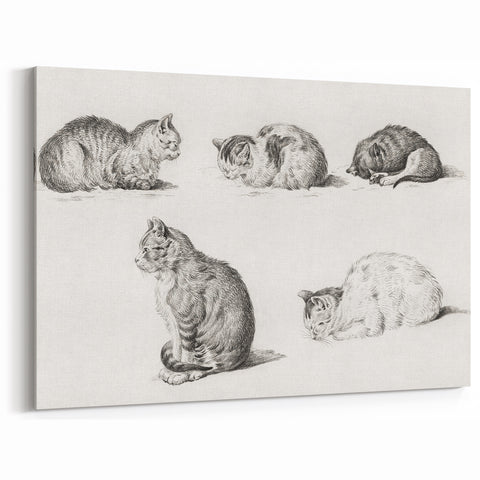 Romanticism Art: Five Studies of Cats by Jean Bernard
