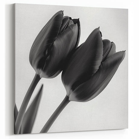 Black and White Tulip Art - Minimalist Floral Wall Decor Print