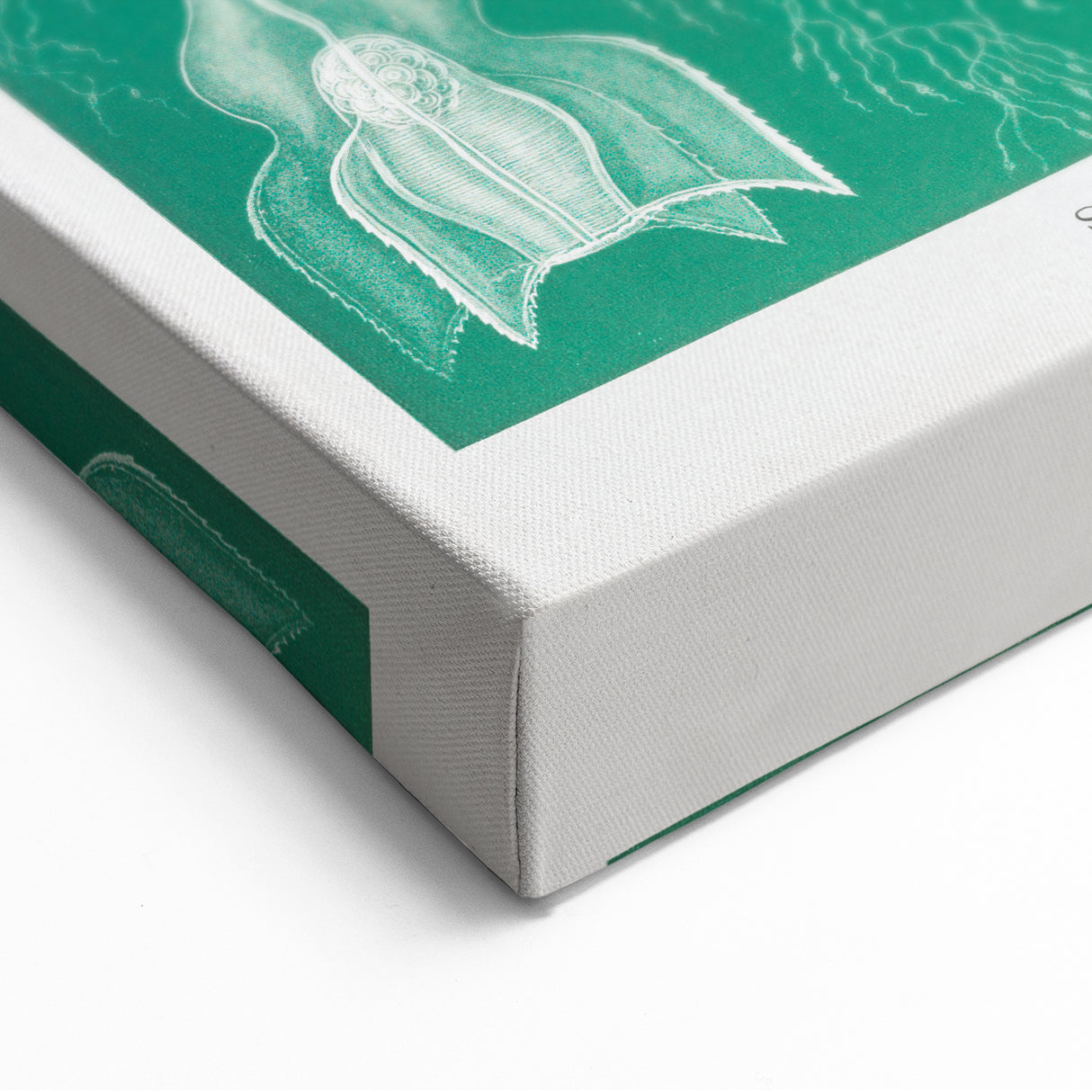 Modern Wall Art: Siphonophorae Study - Abstract Nature Design