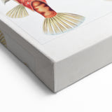 Modern Wall Art: Boxfish Study - Vibrant Marine Life Print