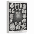 Modern Wall Art: Urban Landscape - Contemporary Cityscape Print