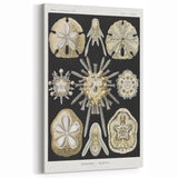 Modern Wall Art: Geometric Woman - Bold Abstract Feminine Print