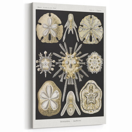 Modern Wall Art: Geometric Woman - Bold Abstract Feminine Print