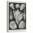 Modern Wall Art: Abstract Faces - Contemporary Minimalist Print