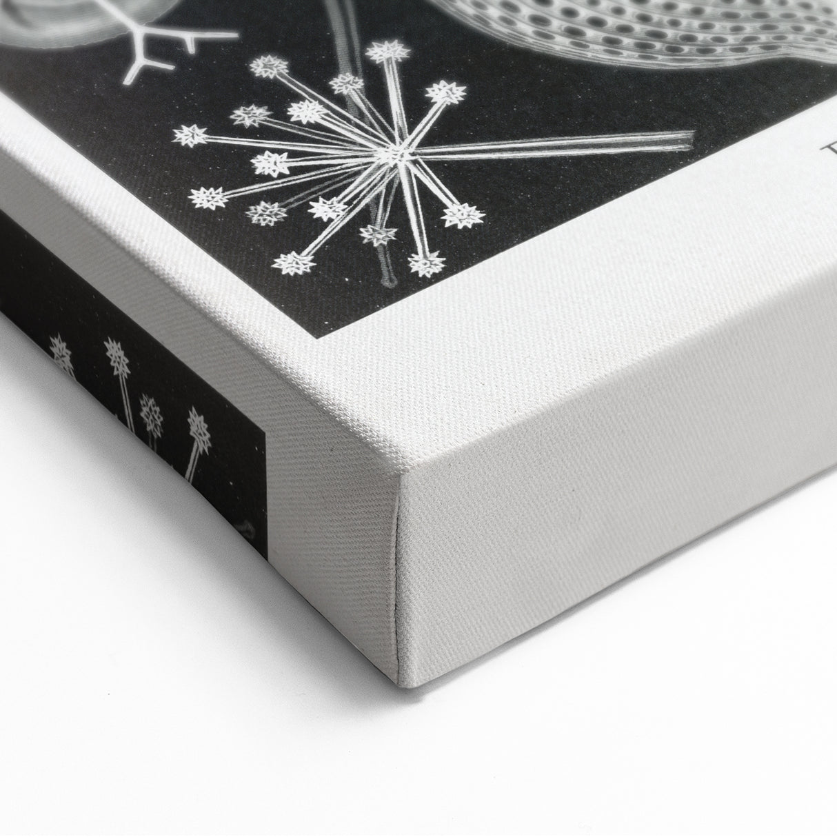 Abstract Modern Art – Bold Red and Black Design on Acrylic Glass