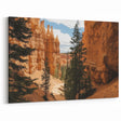 Golden Hoodoos Canyon Pathway - Majestic Nature Landscape Wall Art