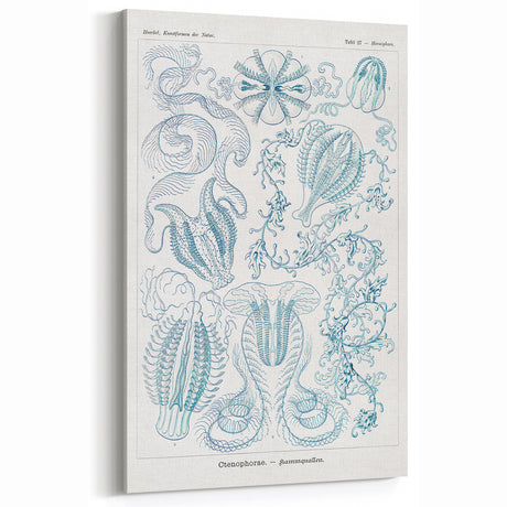 Modern Marine-Inspired Wall Art – Abstract Ctenophore Design