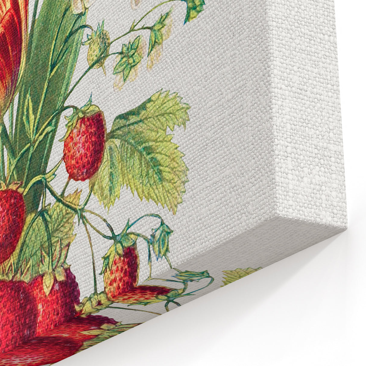 Classic Romantic Paintings - Strawberry and Tulip Art Print
