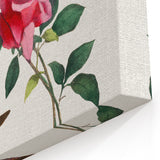 Romanticism Art: Bougainvillea and Butterflies - Historic Floral Print