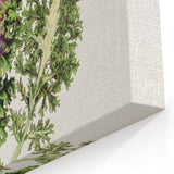 Romanticism Art - Wild Cabbage Leaf Illustration on Canvas