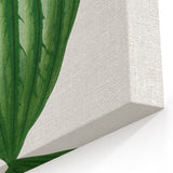 Romanticism Art - Peperomia Argyrea Leaf Illustration on Canvas