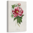 Romanticism Art - Peony Flower Painting on Canvas