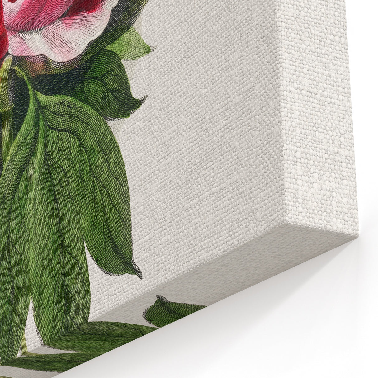 Romanticism Art - Peony Flower Painting on Canvas