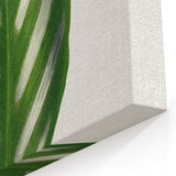 Romanticism Art - Maranta Porteana Leaf Illustration on Canvas