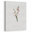 Romanticism Art: Apricot Blossom by Giorgio Gallesio
