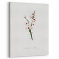 Romanticism Art: Apricot Blossom by Giorgio Gallesio