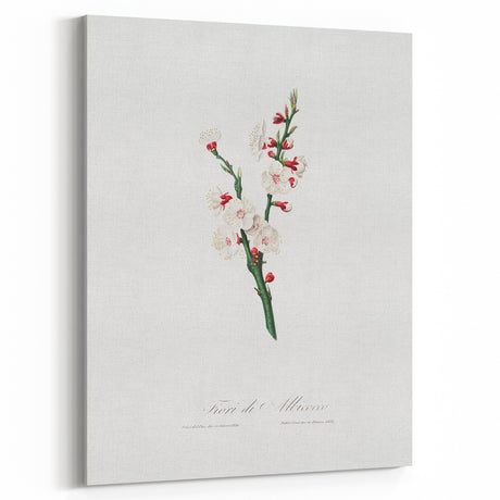 Romanticism Art: Apricot Blossom by Giorgio Gallesio