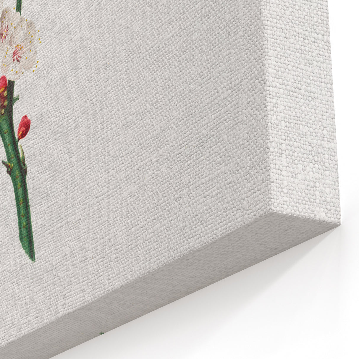 Romanticism Art: Apricot Blossom by Giorgio Gallesio