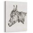Romanticism Art: Head of a Donkey by Jean-Bernard