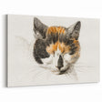 Romanticism Art: Calico Cat by Jean Bernard - Classic Animal Portrait