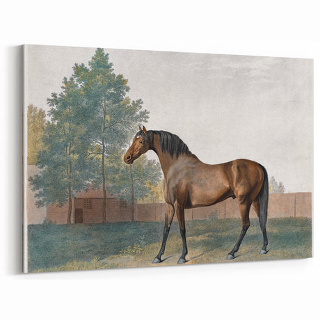 Romanticism Art: Anvil by George Stubbs - Majestic Horse Canvas