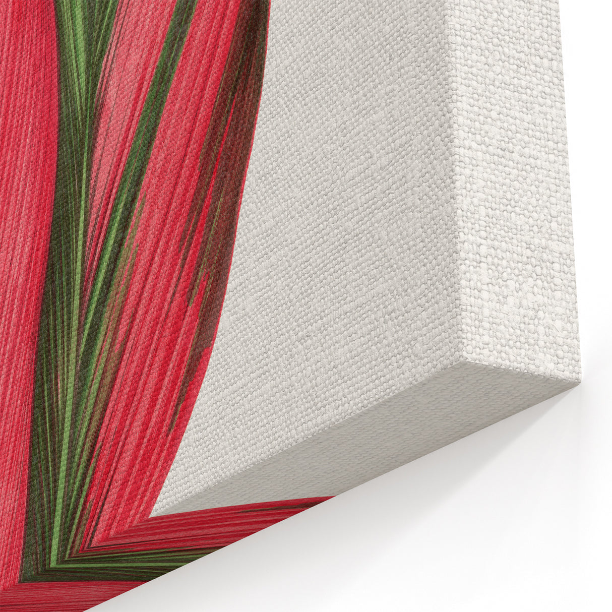Romanticism Art: Dracaena Terminalis Pink Botanical Wall Art