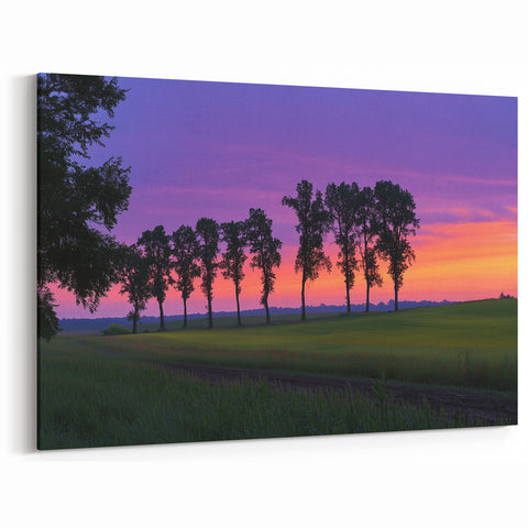 Scenic Countryside Prints - Sunset Over Tree Line in Open Fields