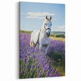 White Horse in Lavender Field Countryside Wall Art - Scenic Canvas