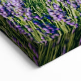 White Horse in Lavender Field Countryside Wall Art - Scenic Canvas