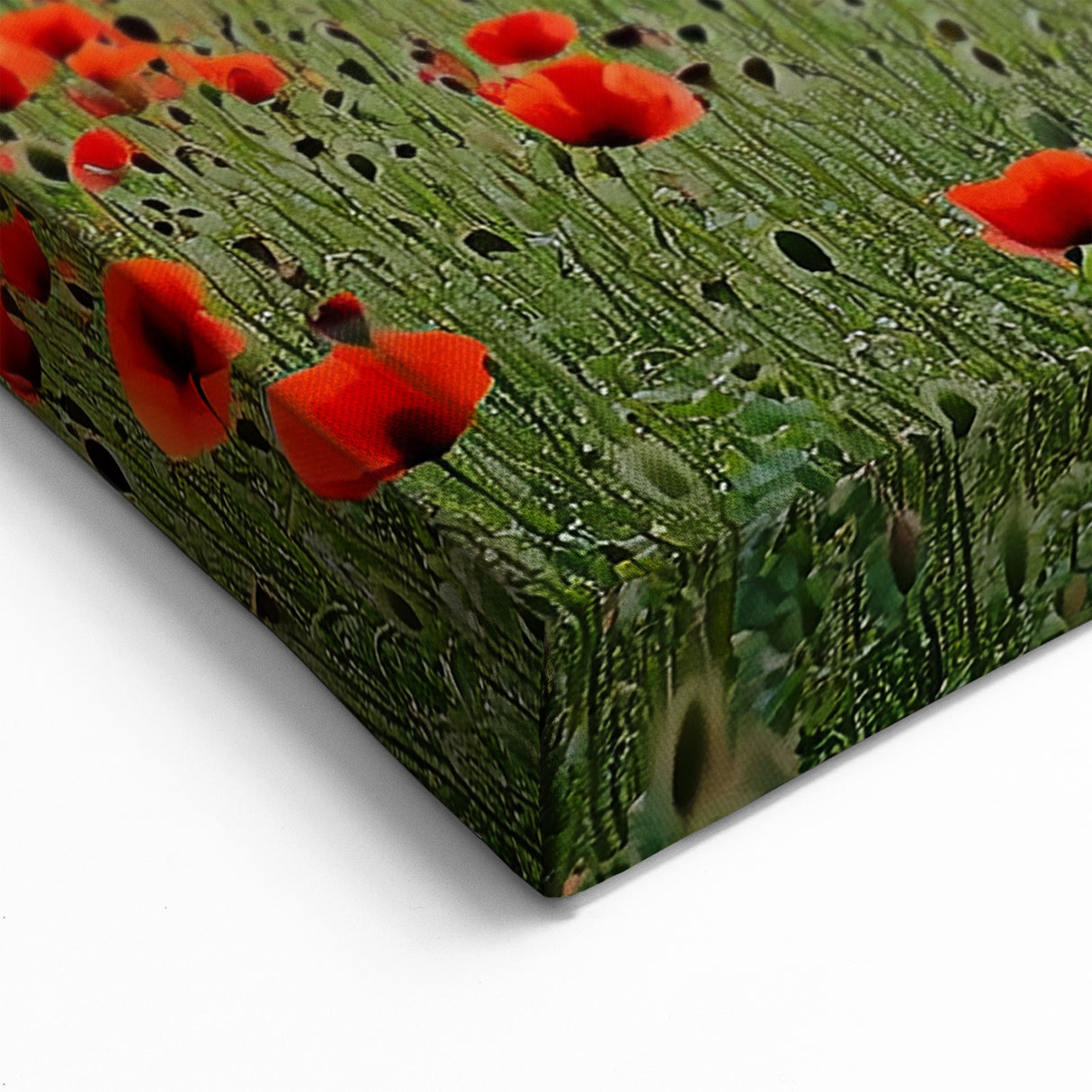 Poppy Field Countryside Wall Art – Vibrant Rural Landscape Canvas Print