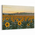Sunflower Field at Sunset Wall Art – Rustic Countryside Canvas Print
