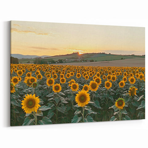 Sunflower Field at Sunset Wall Art – Rustic Countryside Canvas Print