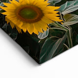 Sunflower Field at Sunset Wall Art – Rustic Countryside Canvas Print