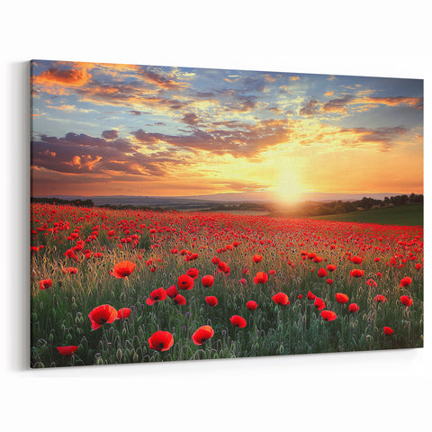 Poppy Field Sunset Wall Art – Vibrant Countryside Landscape Canvas