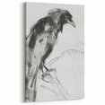 Abstract Figurative Art - Black and White Bird Sketch Wall Decor
