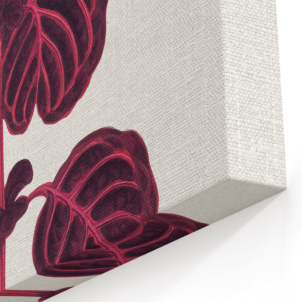 Romanticism Art: "Pink Achyranthes Leaf" Classic Botanical Print