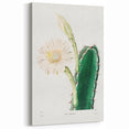 Romanticism Art: "Lady of the Night Cactus" Botanical Canvas Print
