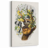Romanticism Art: "Northern Mockingbird & Snake" Wildlife Canvas Print