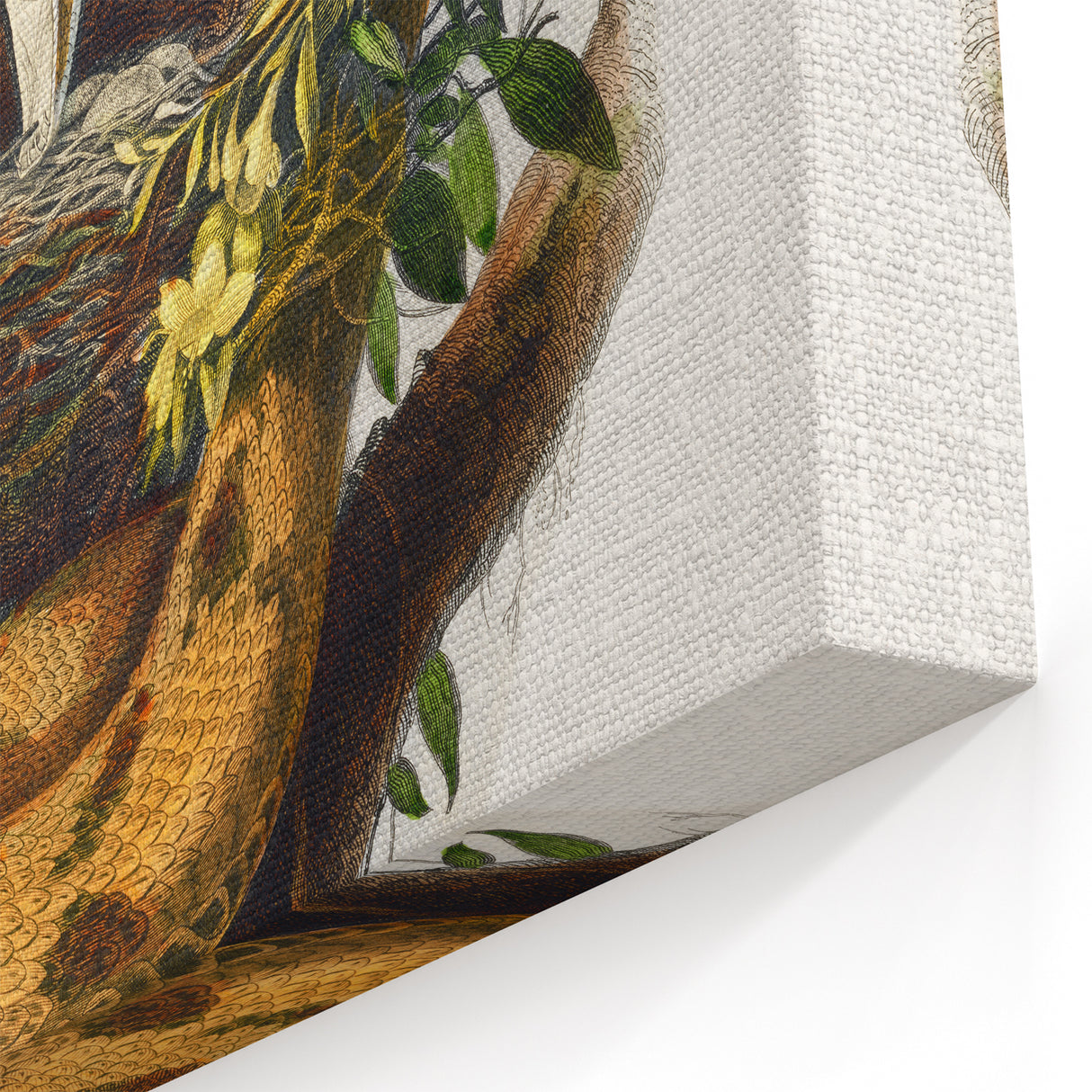 Romanticism Art: "Northern Mockingbird & Snake" Wildlife Canvas Print