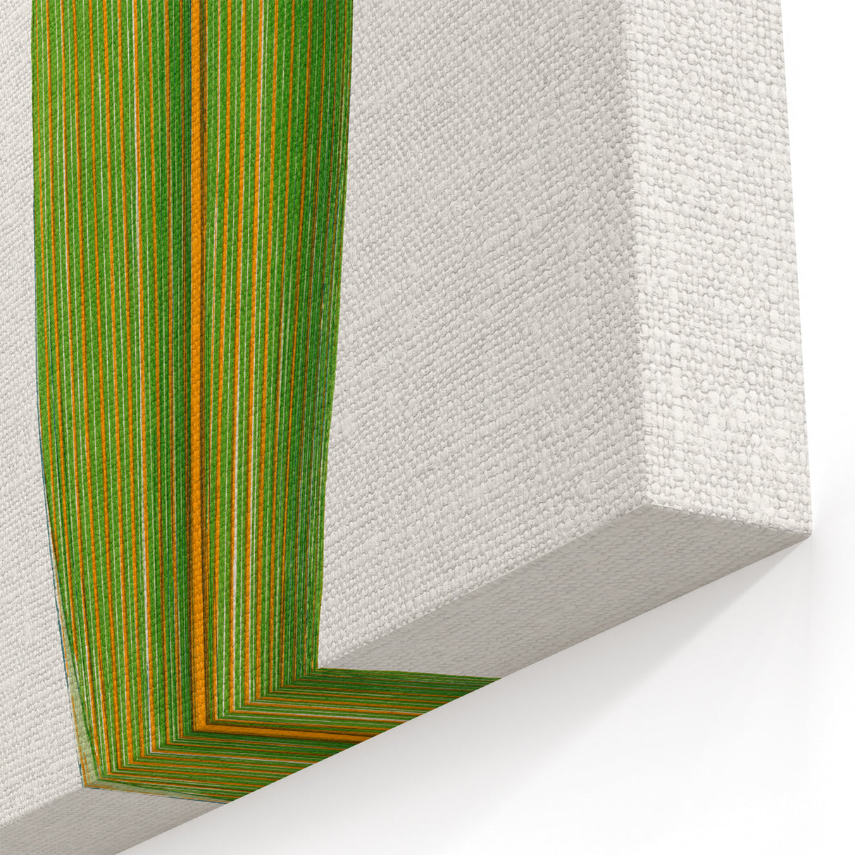 Romanticism Art: "Dracaena Leaf" Botanical Canvas Print