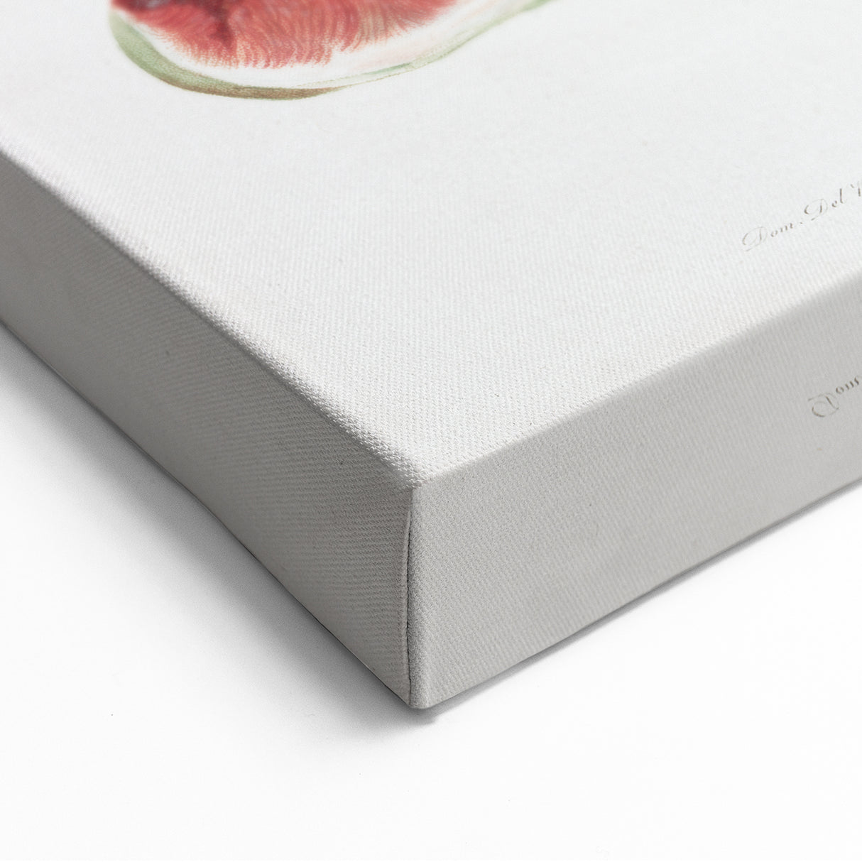 Common Fig Botanical Art - Romanticism Print by Giorgio Gallesio
