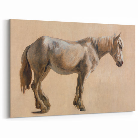 Study of a Grey Horse - Romanticism Art by Jacques-Laurent Agasse