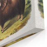 Romanticism Art: Classic Musk Ox Illustration on Historical Canvas